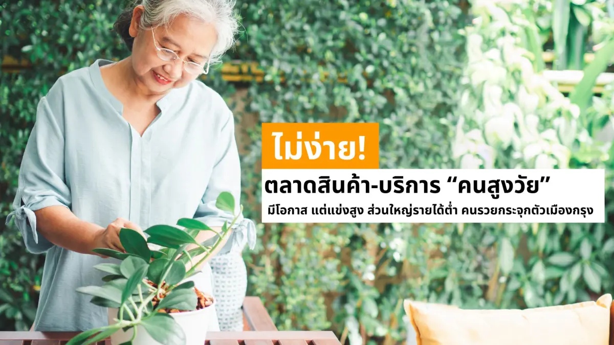 ตลาดสินค้า-บริการ “คนสูงวัย” ไม่ง่าย! มีโอกาส แต่แข่งสูง ส่วนใหญ่รายได้ต่ำ คนรวยกระจุกตัวเมืองกรุง